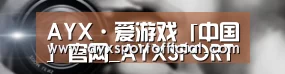 公司动态